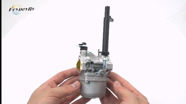 Amazon.com: Hoypeyfiy 697978 591378 Caburetor Replacement for