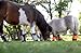 Warrior Fly Boots for Horses - Breathable Mesh Horse Boots for Fly Protection & Leg Comfort - Set of 4 (Lil Warrior, Red)