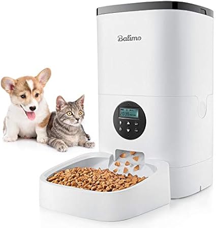 self timer cat feeder