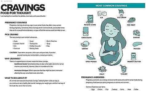 The Simplest Pregnancy Book in the World: The Illustrated, Grab-And-Do Guide for a Healthy, Happy Pregnancy and Childbirth