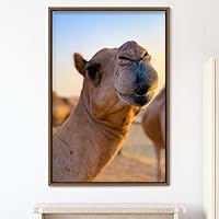 Framed Canvas Wall Art Camel Animals Camels Expressive Farmhouse/Country Living Room Multicolor Photography - 16x24 inches