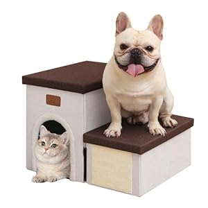 Downluxe Faltbare Hundetreppe mit Katzenkratzer 2-Stufig