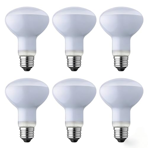 FMLAD R20 60W Incandescent Light Bulbs Food Warming Light Bulb Compatible with S4886 Warm White 2700K - 110V-130V E26 Base (6 Pack)