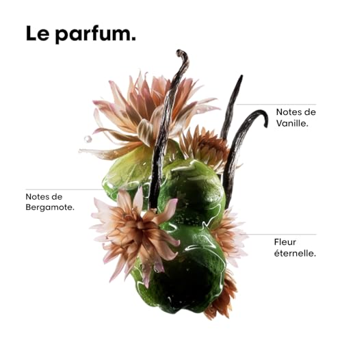 L'OREAL PROFESSIONNEL - Routine Pour Cheveux Très Abîmés - Absolut Repair Molecular - Répare & Adoucit - 3x + de Force & Trasformation Instantanée - Shampoing (300ml) + Masque (250ml) + Sérum (250ml)