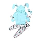 Cutoluca 3Pcs Infant Girls Rabbit Clothes 3D Bunny Ears Hoodie Long Sleeve Tops Pants Headband Fall