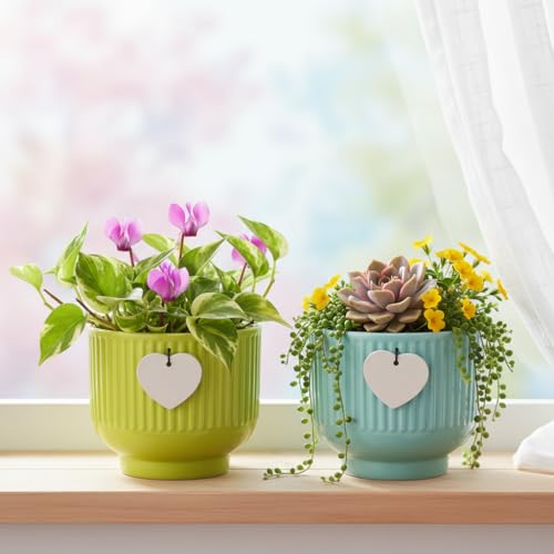 Image of Xtore Vibrant Ribbed Ceramic Planter Set for Indoor Plants | Modern Decorative Flower Pots for Desk, Shelf & Home Styling (Pack of 2, Planter only)