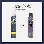 HASK Charcoal Purifying Dry Shampoo – Absorbs Oil, Purifies & Detoxifies Hair, Extends Time Between Washes, No Sulfates or Parabens, Cruelty-Free – 8.1oz - Image 2