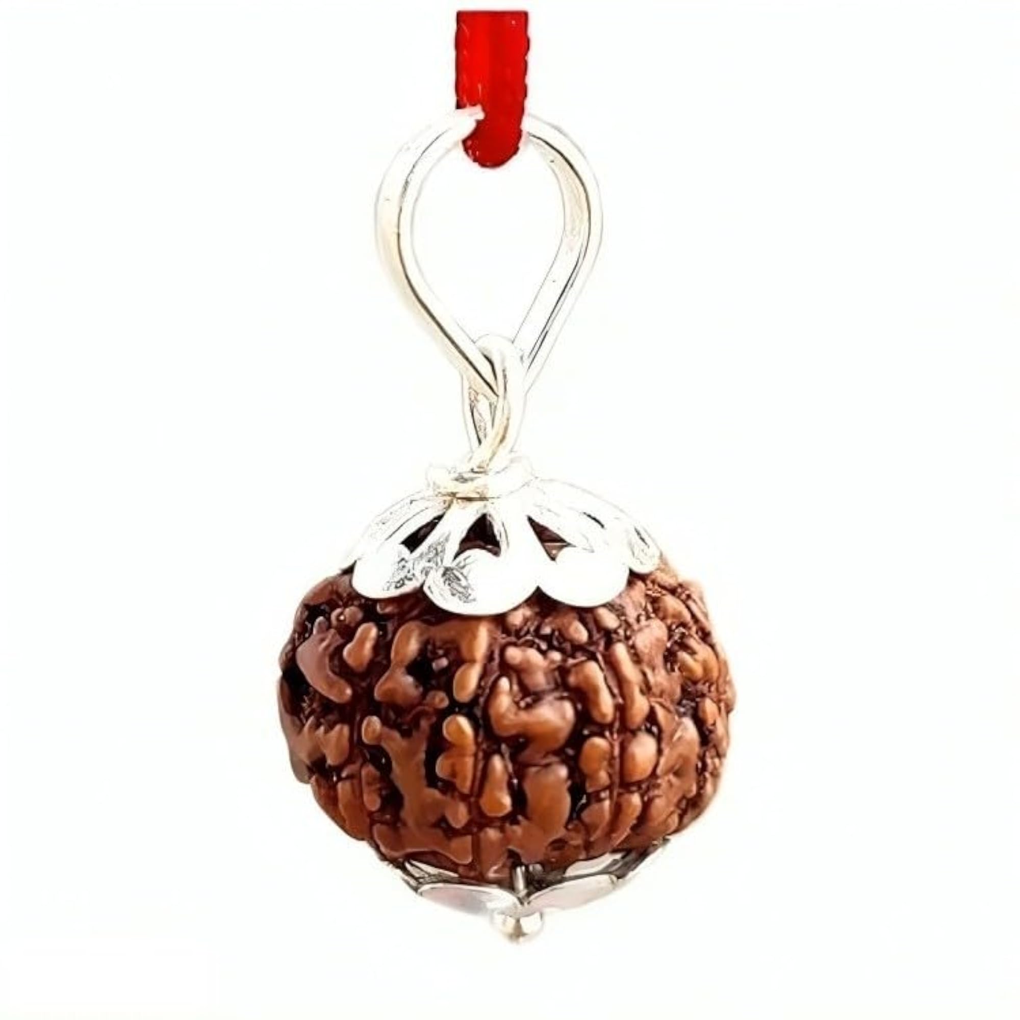 Natural 10 Mukhi Silver Studded Pendant, Small Size