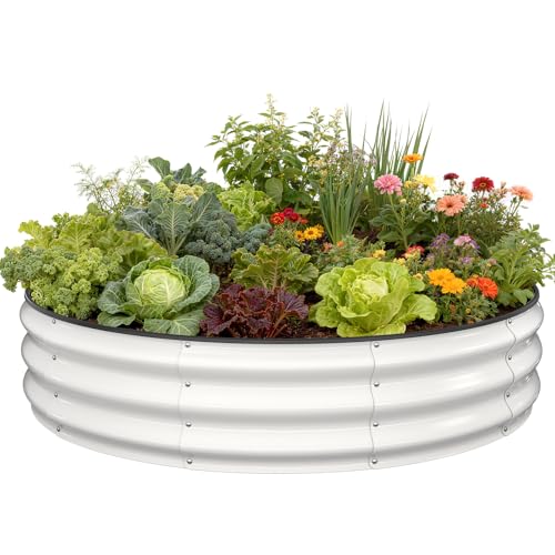 Pattiumo Galvanized Raised Garden Bed, 4x4x1 FT Raised Garden Bed for Gardening, Large Metal Planter Box for Vegetables Flower Herb(Pearl White)