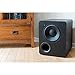 SVS PB-1000 300 Watt DSP Controlled 10