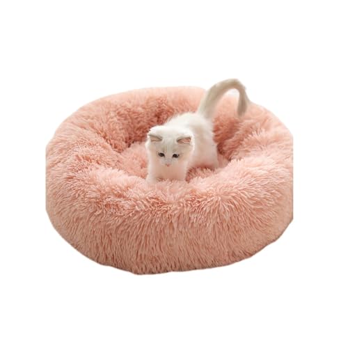 Sailozai L~GۉA~ALybg}bgA^\t@efBxbh (XL,sN)