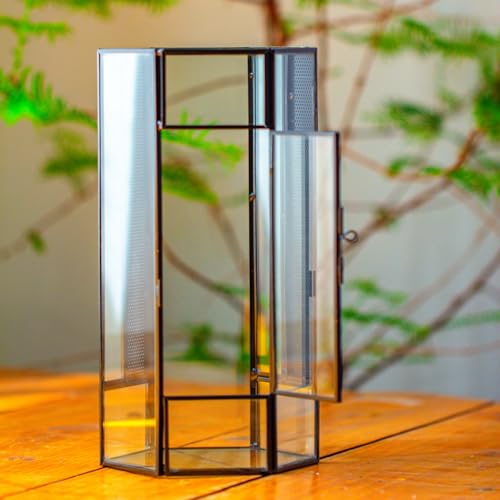 NCYP Small Glass Enclosure Terrarium with Mesh and Door for Jumping Spiders, Insects - Hexagon Shape Succulents Terrarium 4.9'' x 3.9'' x 9.4'', Tabletop Decor, Black (Plants Not Include)