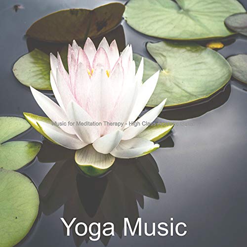 Amazon Music Yoga MusicのMusic for Meditation Therapy High Class