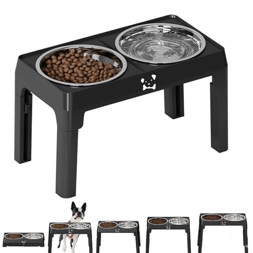 Lifetips {XgeAiBoston Terrierj Lp H t[h{EX^h {E  ܂肽 pT|[g Hׂ₷ Hh~ 􂢂₷ ~  i5iK ubNj