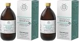 Gianluca Mech | Decottopia Depurativo Antartico con Stevia, Integratori Alimentari Keto, Azione Detox, Vegan, 500 ml (Confezione da 2)