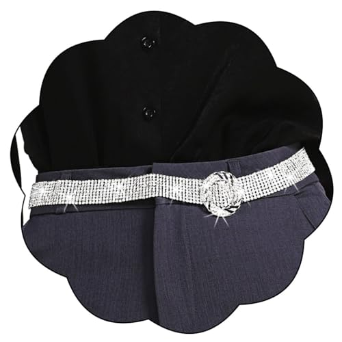 Silver Rhinestone Belts Fashion Sparkly Chain Belts for Women