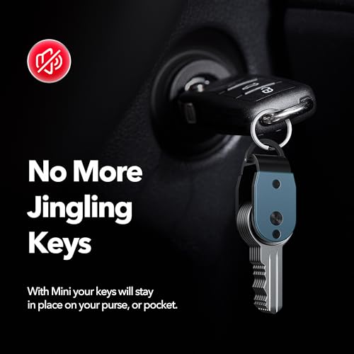 Image of QEG Mini Key Organizer, Keychain, Holds 2-5 Keys (Mini Blue)