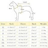 Zoom IMG-1 uosia cappotto invernale per cani Zoom IMG-1 uosia cappotto invernale per cani