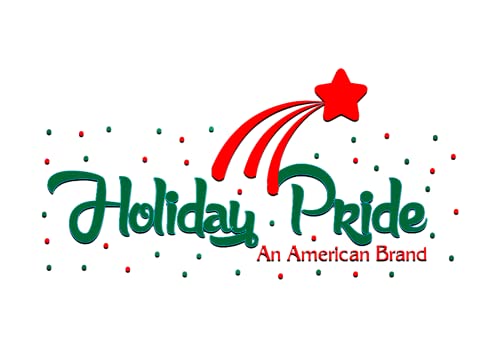 Holiday Pride Metal Christmas Tree Ornament Hooks - 100 Pack Ornament Hangers for Christmas Tree Decorations - Combo Pack - 50 Large & 50 Small Hooks by Holiday Pride - Used condition - US$4.36