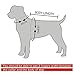 Berry Pet Leather Spikes Studded Medium & Large Black Dog Collar & Leash & Harness 3 Pcs Set for Pitbull Boxer