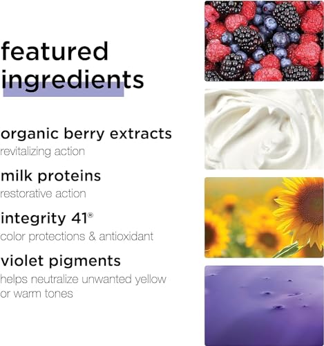 Milk Shake Light Silver Shine Shampoo for Blond and Grey Hair Purple Toner Anti-yellow Care Shampoo with Purple Pigments, 2 x 300ml With Soft Silicon Hair Massager - Image 6