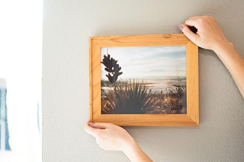 Image of Rocky Mountain Goods All-in-One Picture Hangers - 5 Pack, Zinc Plated, No Tools Required, Easy Installation for Art, Photos, and Wall Decor - Holds Up to 7.5 lbs