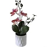 Dimensioni compatte adatte al piano del tavolo: misura 26 cm di altezza e 13 cm di larghezza, perfetto per scrivanie, comodini, librerie o banconi della cucina.