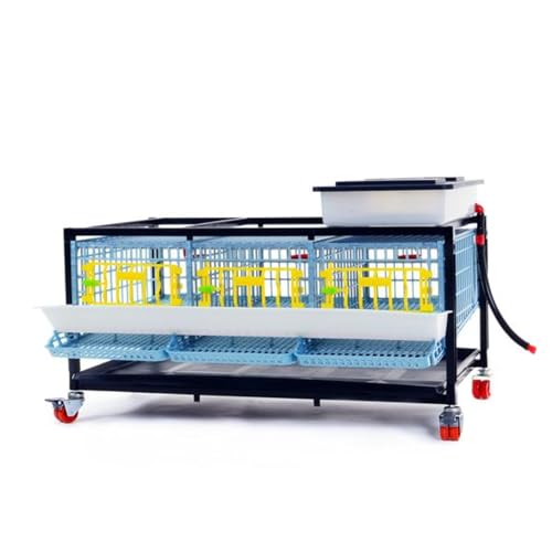 Hatching Time Jumbo Quail Cage Layer Addition Jumbo Flooring Expansion Add-On for Quail Housing Removable Dividers Extended Waste Trays Egg Roll-Out Design Easy-Clean ABS Plastic