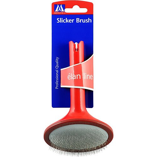 Best Brush for Pomeranian and Pomeranian Grooming Tools
