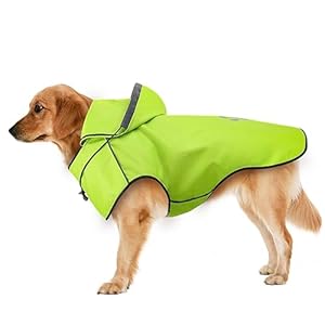 Dog Raincoat for Large Dogs, Reflective Dog Rain Jacket with Hoodie, Soft Lightweight Hooded Rain Coats with Adjustable Drawstring/Reflective Strip/Leash Hole, Waterproof Rainwear for Dog (Green, L)