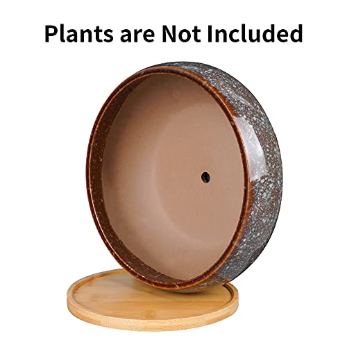 Epfamily 8 Inch Ceramic Bonsai Planter Pot, Glazed Shallow Succulent Planter With Drainage Hole And Bamboo Saucer For Indoor Plants, Brown #TOP2