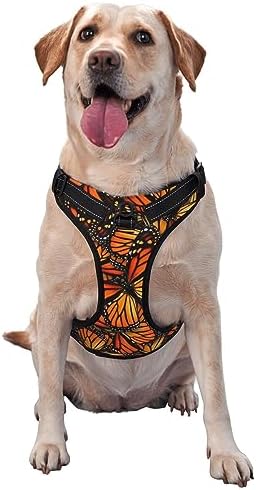 Adjustable Pet Harness Collar and Leash Set for Dogs Puppy and Cats Outdoor Training and Running, Soft Vest Harness (Beautiful Orange Monarch Butterfly)