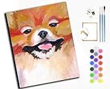 Kit completo: con cornice, tela prestampata colorata (40 x 50 cm), colori acrilici numerati, pennelli di qualità e istruzioni dettagliate.