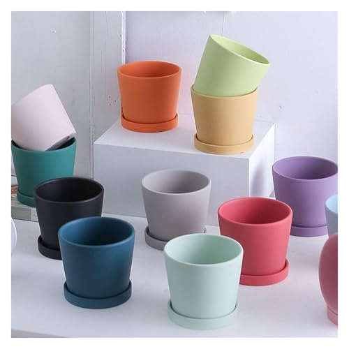 Pots de fleurs amusants en céramique avec plateau pour plantes de porche - 6
