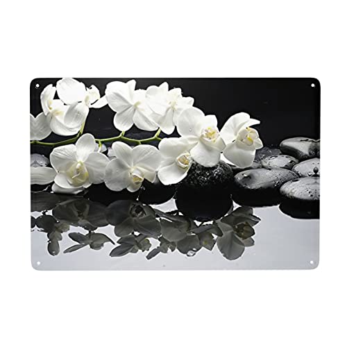 zudehae - Póster vintage de metal Cover