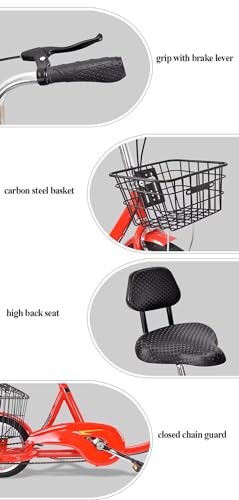 Triciclo Paseo 16" con Cesta, para Adultos y Mayores miniatura 6