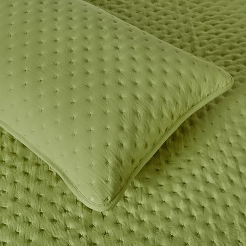 Image of Amazon Basics Brushed Microfiber Quilt Set, Extra Soft with Natural Texture, 2-Piece, Twin /Twin XL, Green