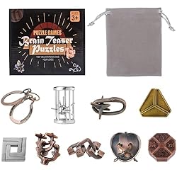 Holzsammlung 9pcs Brain Teaser Metal Puzzles