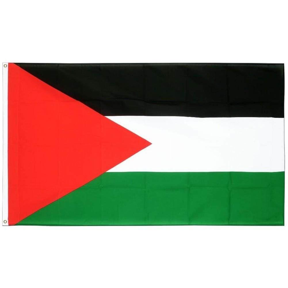 Casiler 90X150cm Palestine Flag Polyester Vivid Color And Uv Fade Resistant Palestinian Flags
