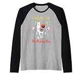 Photo Gallery uomo llamazing dad birthday boy llama decorazioni a tema happy maglia con maniche raglan Photo Gallery uomo llamazing dad birthday boy llama decorazioni a tema happy maglia con maniche raglan