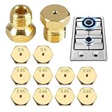 QEXUJOW Einspritzdüsen,10 Gasdüsen für LPG/Propan-Brenner, mit M6 x 0,75 Gewinde (1x0,50, 1x0,65, 1x0,70, 1x0,87, 1x0,95 mm).