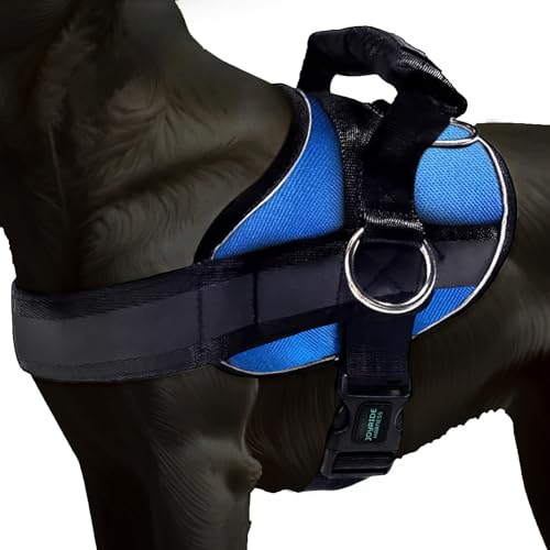 Joyride Basic Dog Harness 1.0, No-Pull, Adjustable, Blue, M