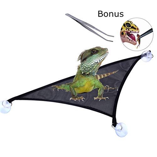 25 Best Bearded Dragon Hammock in 2020 (Reviews & FAQs)