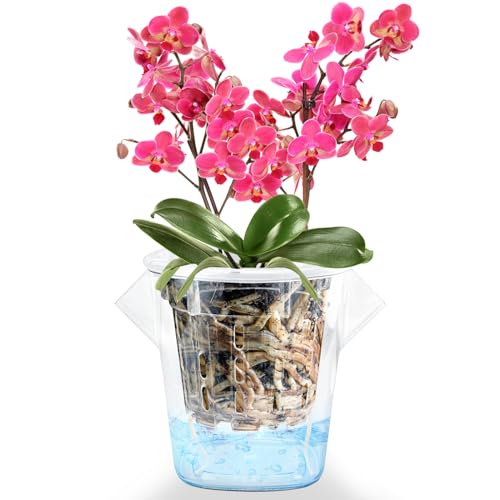 lehorra Orchid Pots with Holes for Repotting, Double Layer Plastic Orchid Planter, Provide Good Air Circulation, Clear Orchid Pot Match Decorative Orchid Container…