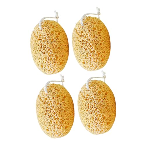 PAMINGONO 4 njJ oX X|W V[ {o[ {fB V