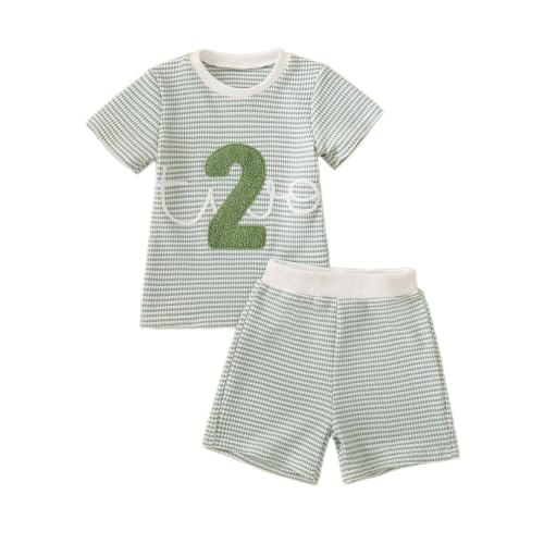 Toddler Baby Boy Birthday Outfit One/Two Letter Embroidery Waffle T-shirt Top Jogger Shorts Summer Birthday Clothes (Green Two 2-3T)