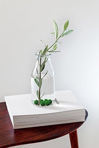LUFFY Marimo Moss Ball x5 ! RARE live plants! Just place them into any bottle and add water. Water change every 2 weeks! Beautiful HousePlant Office Supply Station Desk Accessory Idea Shelf Decor