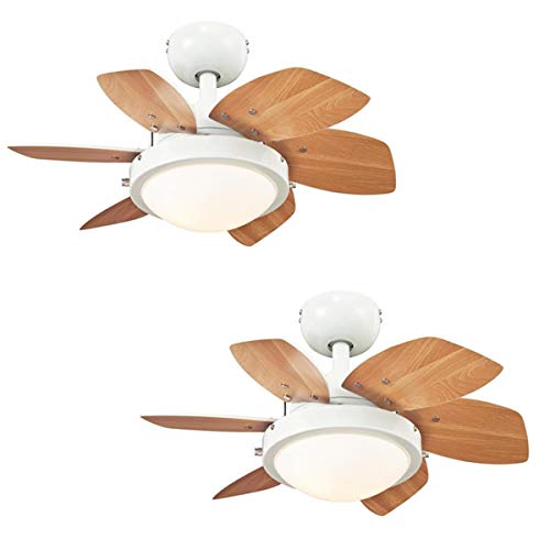 Ciata Lighting 24 Inch Quince Indoor Ceiling Fan In White Finish...