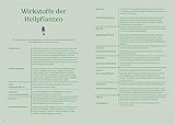 Heilen mit pflanzlichen Antibiotika: Mit 200 Rezepturen für Ihre Gesundheit. Kräutermedizin für starke Abwehrkräfte
