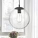 Light Society Zeno Globe Pendant, Clear Glass with Black Finish, Contemporary Mid Century Modern Style Lighting Fixture (LS-C175-BK-CL)